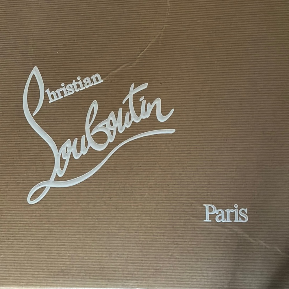 Christian Louboutin shoes worn twice